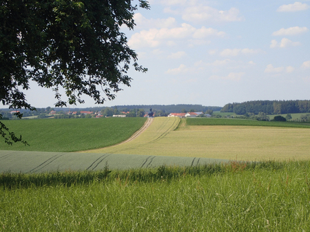 Felder und Wiesen in der Gemeinde Taufkirchen (Vils) in der Region München